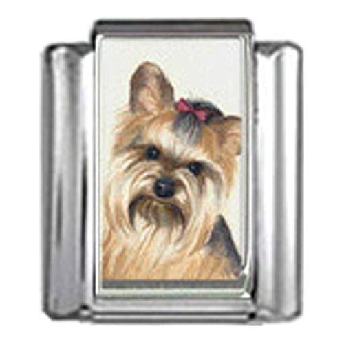 Stylysh Charms Yorkshire Terrier Dog Photo Italian 9mm Link DG410 Fits Trad
