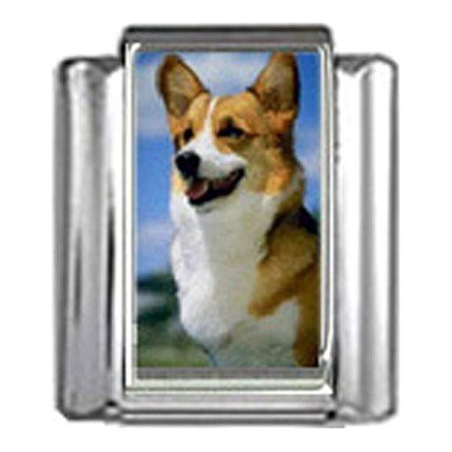 Stylysh Charms Welsh Corgi Dog Photo Italian 9mm Link DG391 Fits Traditiona
