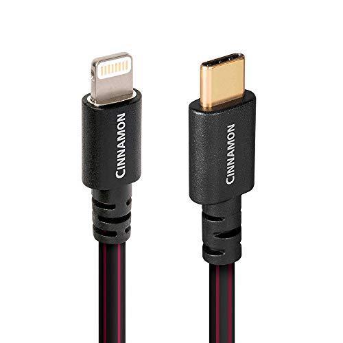Cinnamon Black Lightning-USB C並行輸入品 送料無料 PC映像、オーディオ関連機器 | simioni.com.br