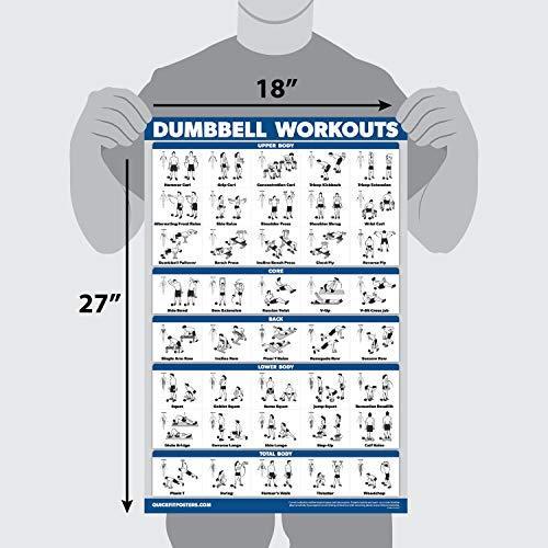 10 Pack - Exercise Workout Poster Set - Resistance Loops, Dumbbell, Suspens｜ysysstore｜03