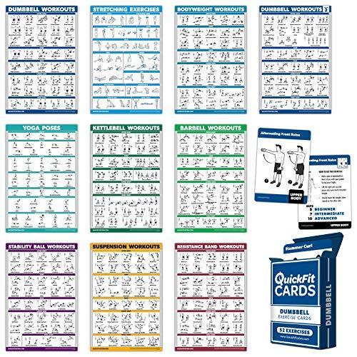 Palace Learning 10 Pack: Exercise Workout Poster Set - Dumbbell Volume 1 &｜ysysstore