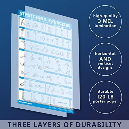 Palace Learning 10 Pack: Exercise Workout Poster Set - Dumbbell Volume 1 &｜ysysstore｜04