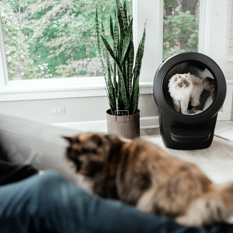 大型猫用自動トイレ （レーキ式） 大型猫用自動トイレ （レーキ式）