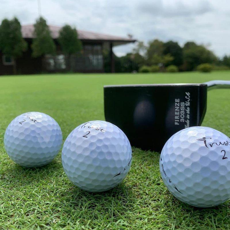 TrustトラストゴルフボールBison-XLウレタンカバー 3ピースリアクティブコア(ツアー系) ヘッドスピード50m/s以上 Bison XLウレタンカバー 3ピースリアクティブコア ツアー系 ヘッドスピード50m/s以上 Bison