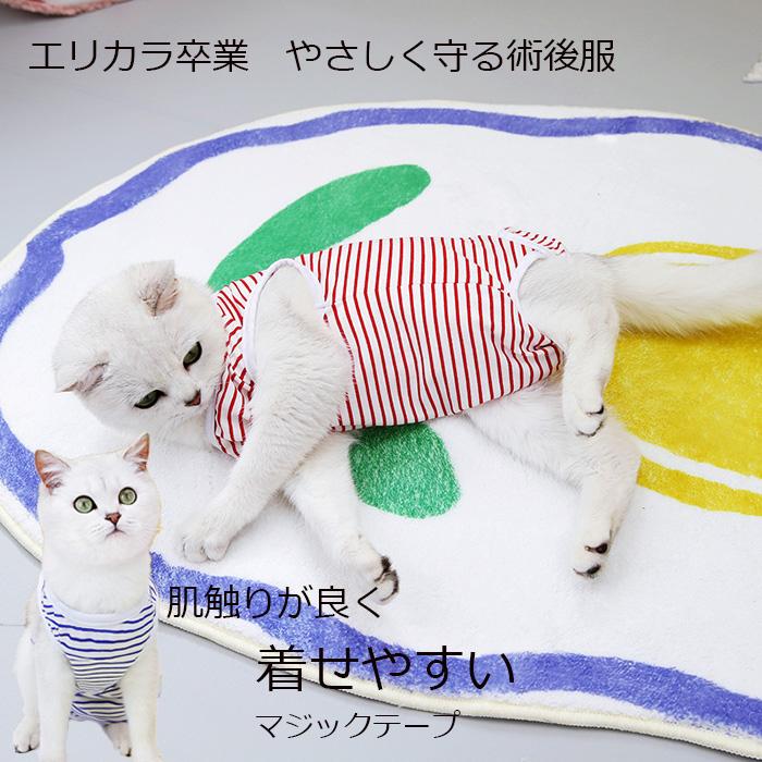 術後服 猫 ボーダー柄 ペット介護服 メス猫避妊服 ストライプ 術後ウェア 不妊手術 傷口保護 皮膚保護 引っ掻き防止 舐め防止 避妊手術 離乳 傷舐め 安い 人気（Yahoo!・くらしのPonte）