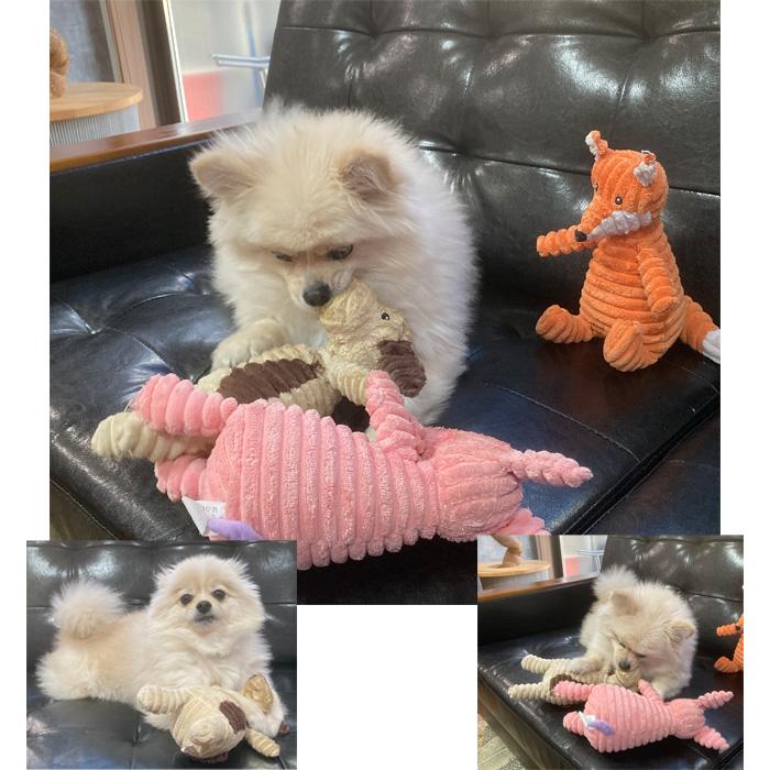 犬 おもちゃ 犬のおもちゃ ぬいぐるみ 噛む 甘噛み 振り回す 遊ぶ 丈夫