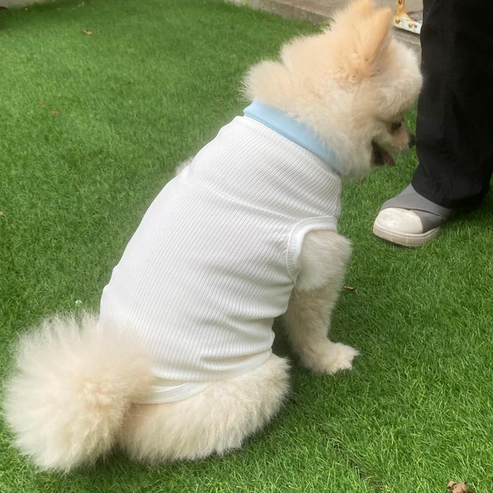 犬服 犬の服 小型犬 春 夏 秋 可愛い 部屋着 ドックウェア お散歩