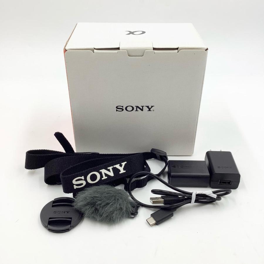 南義信 薔薇 掛け軸 掛軸 共箱あり 二重箱 24