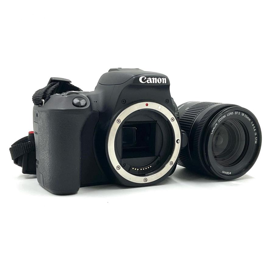 Canon EOS Kiss x9 EF-S 18-55 IS STM 動作確認