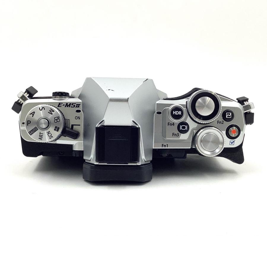 オリンパス 【全額返金保証】【最速発送】OLYMPUS デジタル一眼 OM-D E  