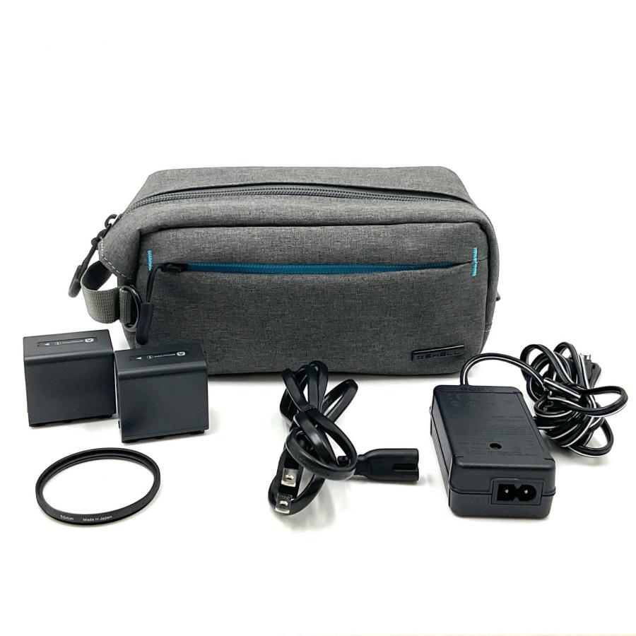 SONY（ソニー） 【全額返金保証】【最速発送】Sony FDR-AX45 (TI