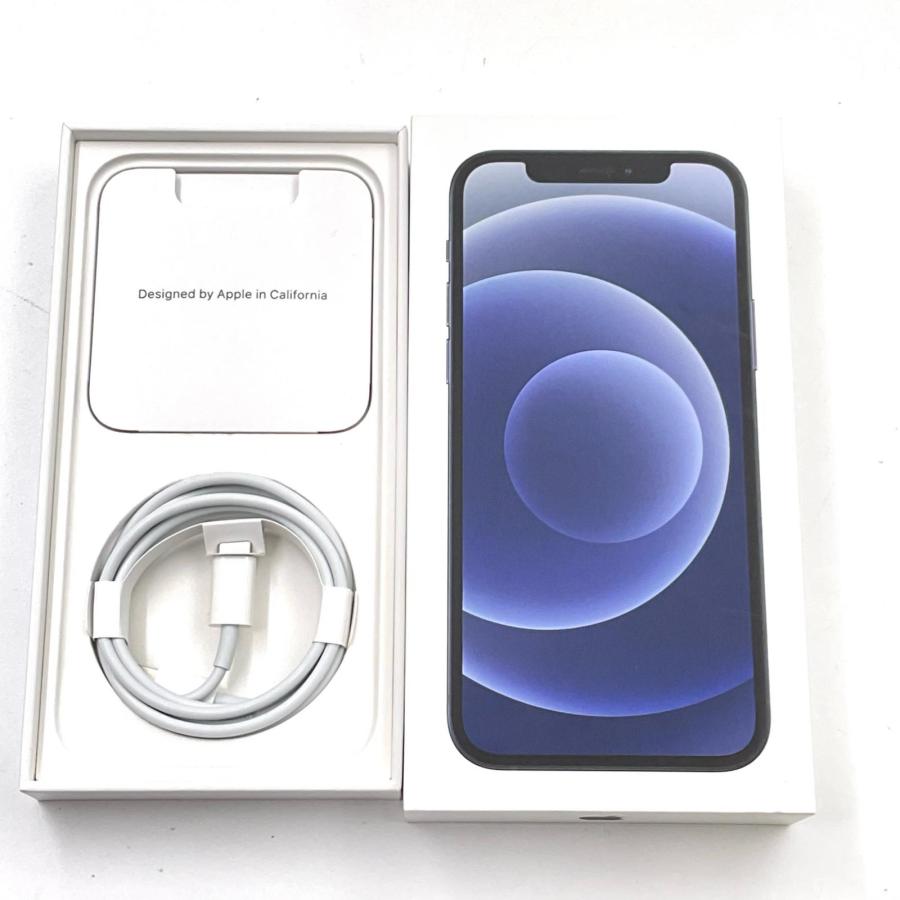 Apple iPhone 12 128GB ブラック docomo 白ロム 動作確認済 83%【全額