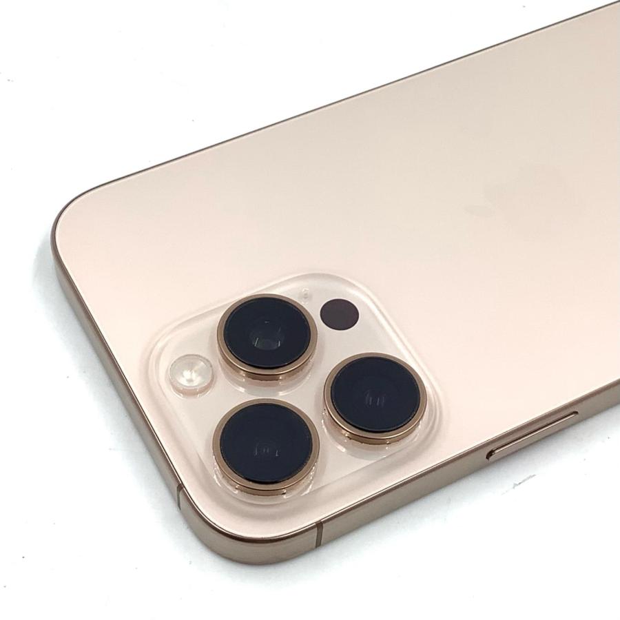 Apple 【全額返金保証】【最速発送】 iPhone 16 Pro Max 256GB