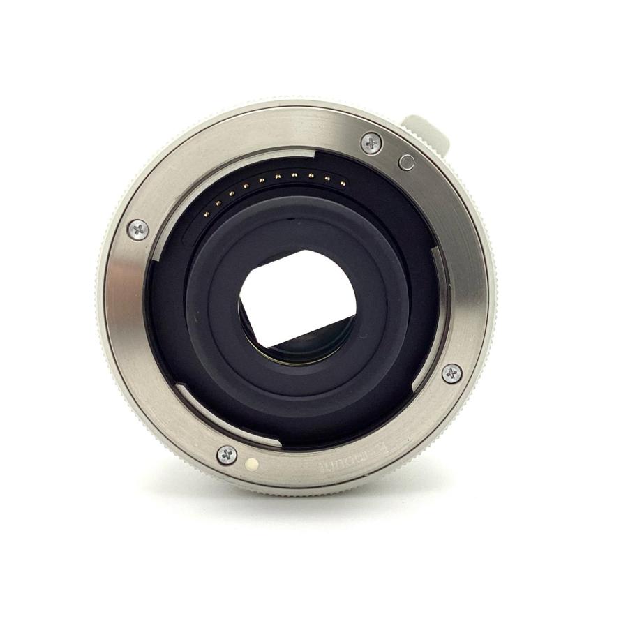 【全額返金保証】【最速発送】Sony TELE CONVERTER 2x SEL20TC 美品 動作確認済_2