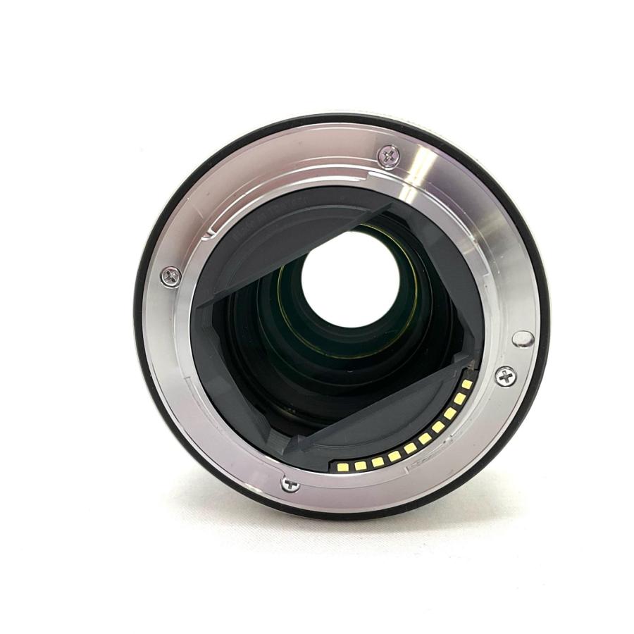 【全額返金保証】【最速発送】Sony TELE CONVERTER 2x SEL20TC 美品 動作確認済_1