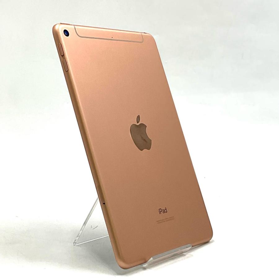 ipad mini 7.9インチ第5世代　256GB ゴールド　wifi +4G Apple 【最速発送】Apple iPad mini 7.9インチ 第5世代 256GB ゴールド