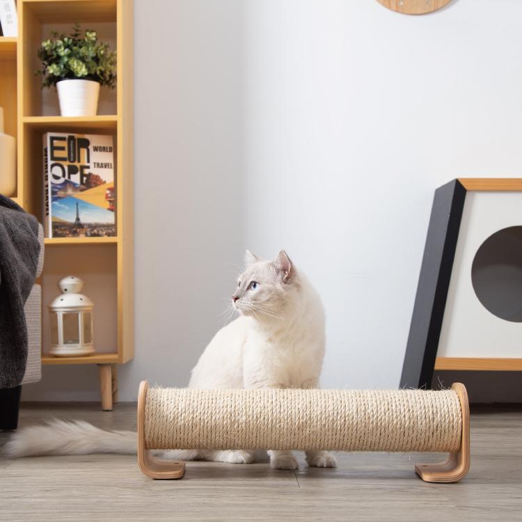 MYZOO マイズー CYLINDER シリンダー 取付プレートセット 爪とぎポール 【1セット】 #猫 キャット ウォーク ステップ タワー おしゃれ 棚 アクリル 壁付け｜ytnetshop｜02