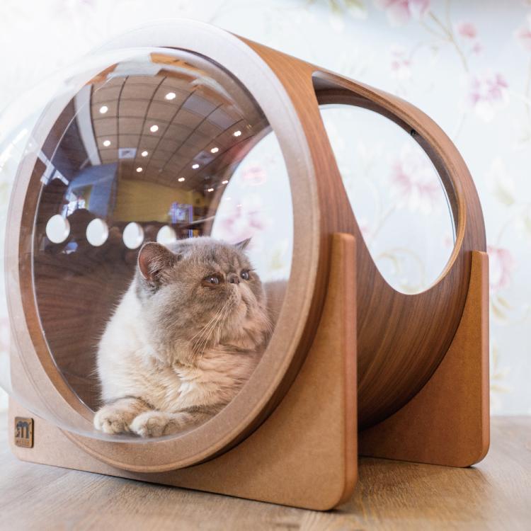 取り寄せ MYZOO マイズー 宇宙船 ALPHA アルファ ウォールナット 【1個