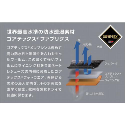 TR ミドリ安全 ゴアテックスRファブリクス使用 安全靴RT935防水反射
