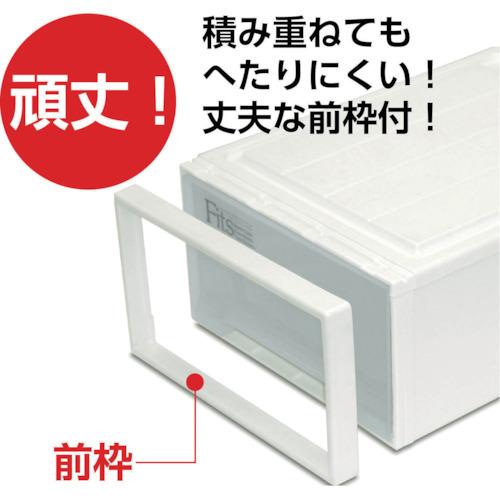TR TENMA フィッツケース ミニ カプチーノ 257×369×146 : パーツEX