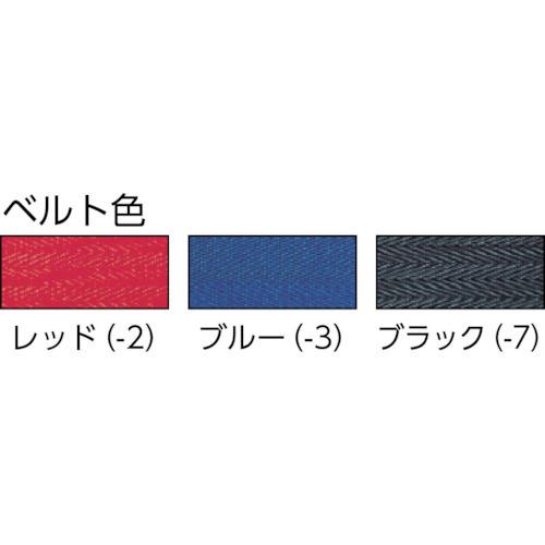 TR テラモト ベルトパーテーションスタンドD (ステン) ベルト黒の画像