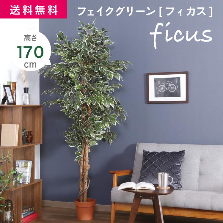 FJ フェイクグリーン 観葉植物 フィカス 1124 B [大型] 高さ170cm