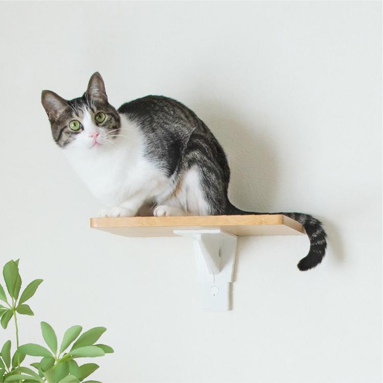 CAT FREELY キャットステップ ホワイト : パーツEX - 通販 - Yahoo