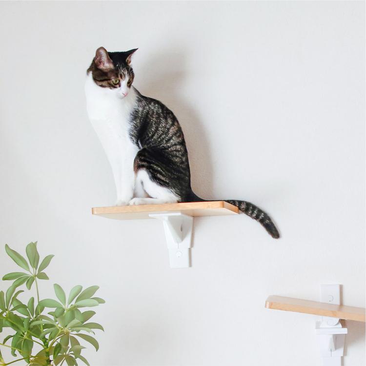 CAT FREELY キャットステップ ホワイト : パーツEX - 通販 - Yahoo