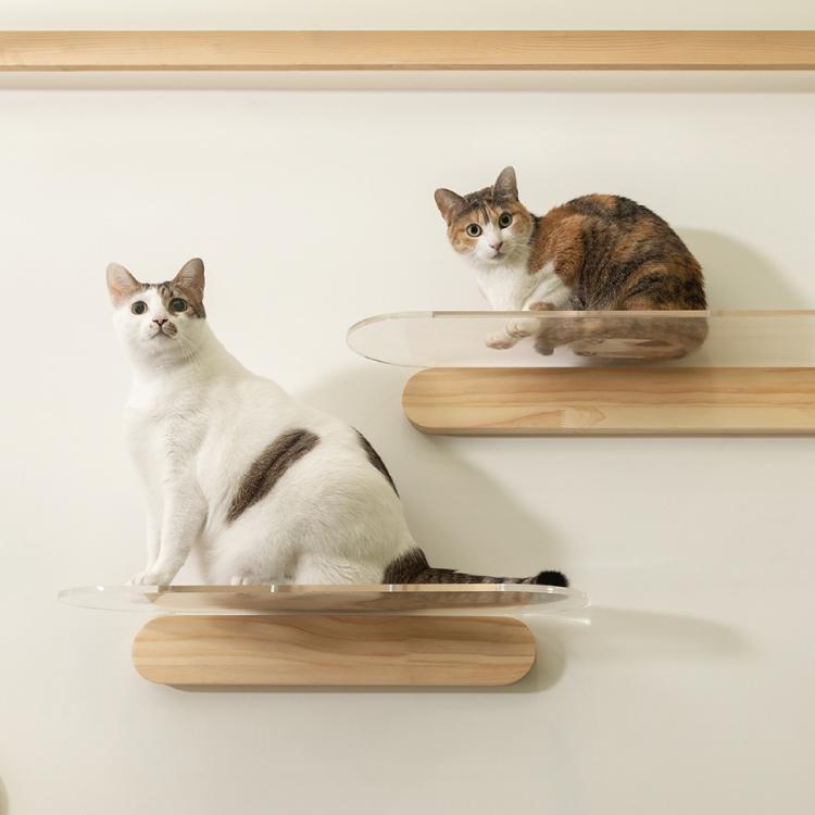 ☆MYZOO「OBLONG（オブロング）」ウッドシリーズ 1個 Mサイズ 取り寄せ MYZOO マイズー OBLONG オブロング サイズ M（60cm）/L