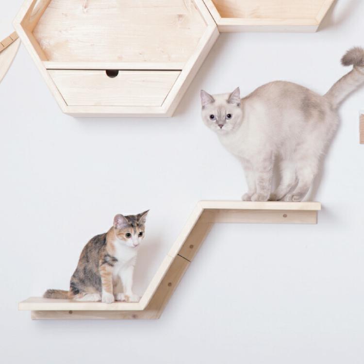 MYZOO マイズー ZONE ゾーン 棚タイプ 左高/右高 【1個】 キャット