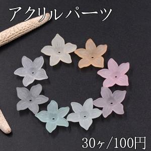 アクリルパーツ スクラブ 5弁花 穴あり 19 mm 全8色 30ヶ A1756 ビーズアンドパーツ 通販 Yahoo ショッピング