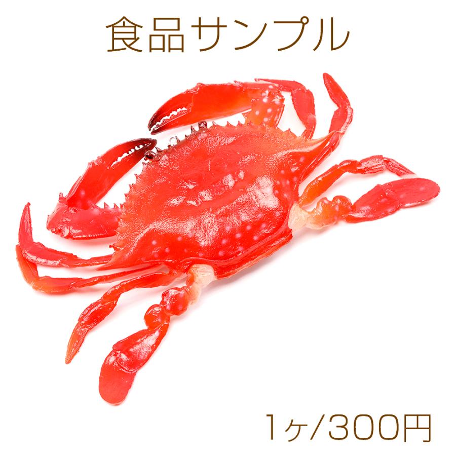 食品サンプル 食品サンプルキーホルダーチャーム ミニチュアフード