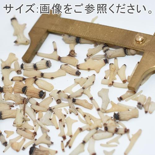 シェルパーツレジン用｜yu-beads-parts｜02