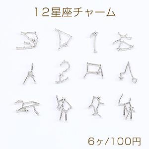 12星座チャーム レジン封入パーツ ロジウム（6ヶ）｜yu-beads-parts