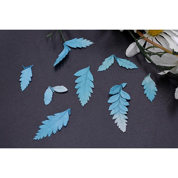 98％以上節約 ドライリーフNo.3 ドライリーフ染色 レジン封入用