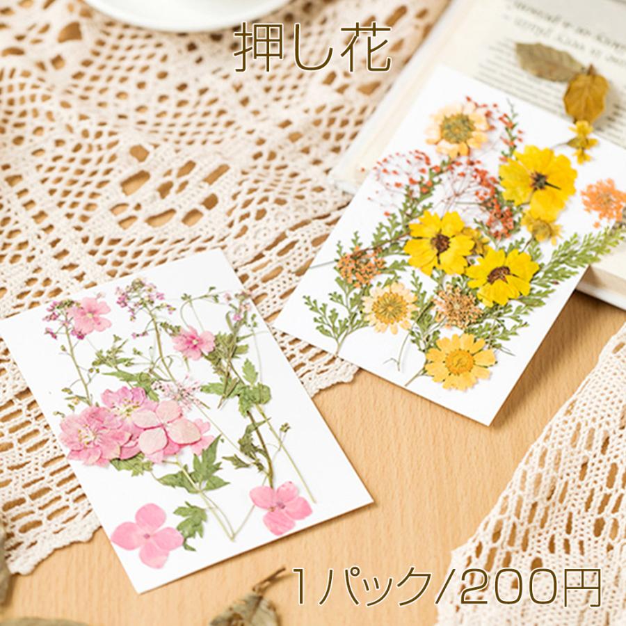 押し花 真空パックドライフラワー デコパーツ 貼り絵 ハーバリウム 花 