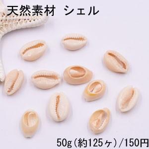 天然素材 シェル ハンドメイド用【50g(約125ヶ)】｜yu-beads-parts