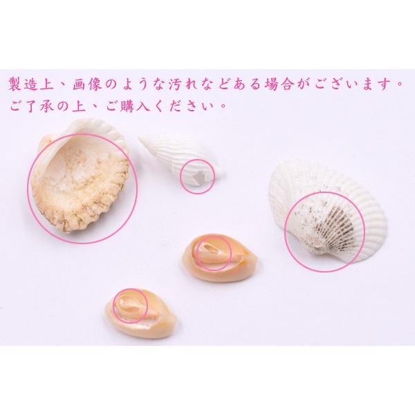 天然シェル ハンドメイド プレート 装飾用 食器 楽天市場】シェル