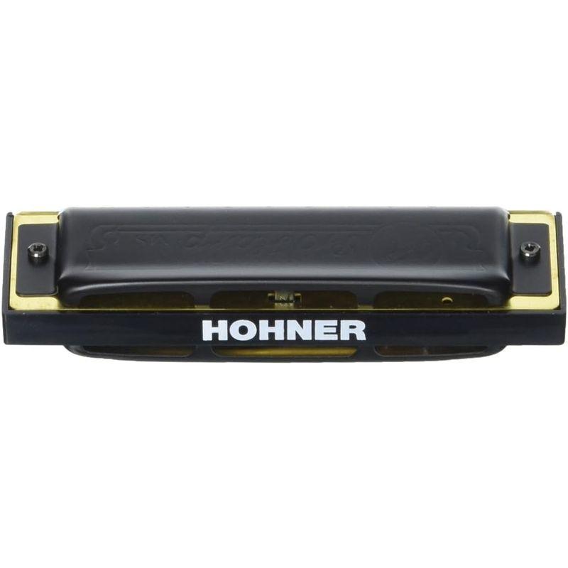 HOHNER PRO HARP C プロハープ 10ホールハーモニカ 管楽器、吹奏楽器