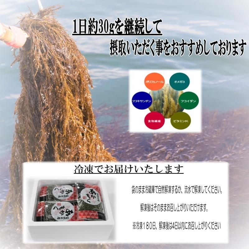 あかもく ギバサ チューブタイプ 200ｇ×5パック入り 三陸産 スーパー海藻 天然 無添加 無着色 冷凍 アカモク 海藻 |  | 03