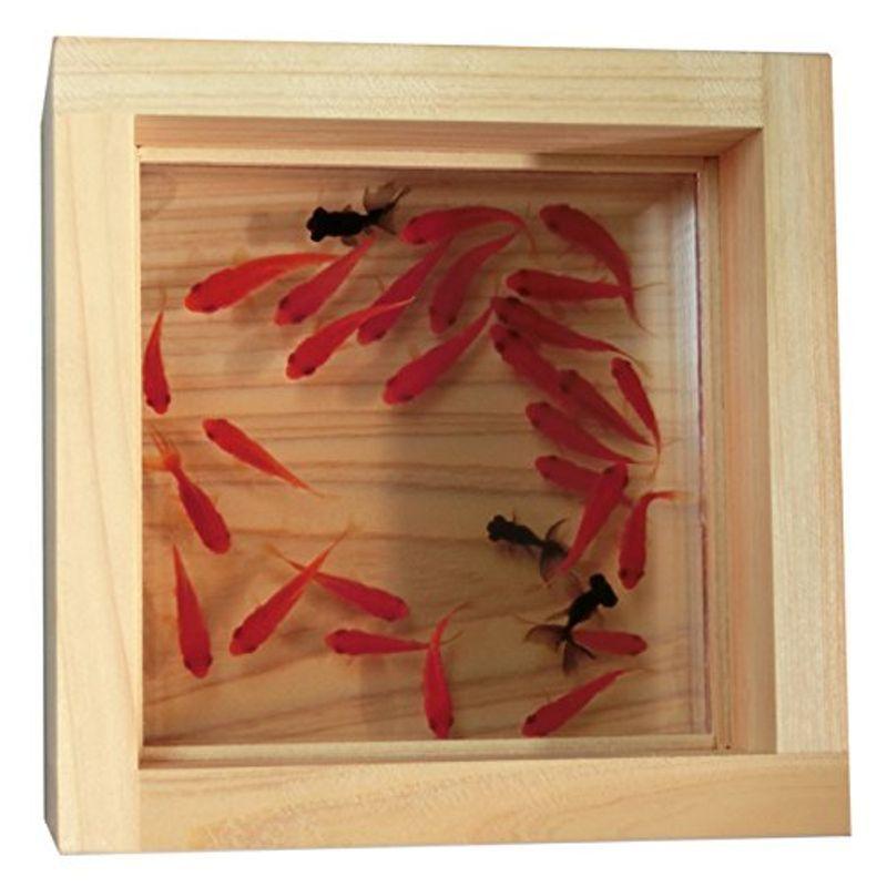 新商品 プレゼント 女性 男性 人気 誕生日 おもしろ 樹脂金魚 プレミアム 極 代 30代 40代 50代 60代 インテリア アートフレ ブランドショッパー付き Gruppospata Com