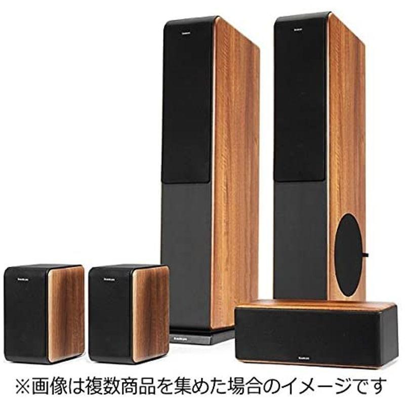 限定素材を使用 audio pro スピーカー AVANTO FS-20 ペア 【JSB2033370338】(74222円)