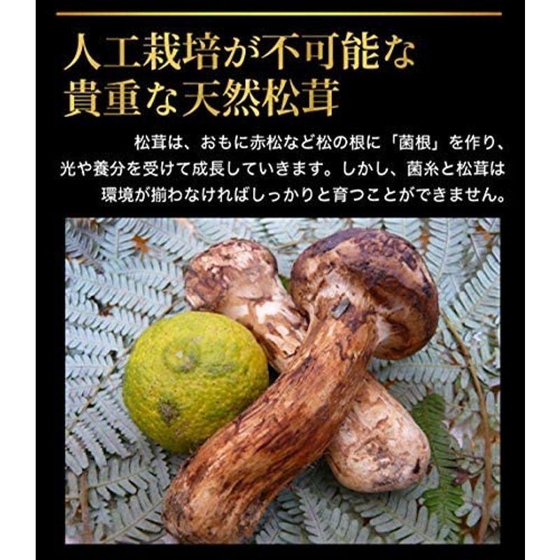 速くおよび自由な 国産 松茸 中つぼみ 半開き 450g前後 4 8本程度 まつたけ マツタケ 岡山 ギフト 利平栗1kgオマケ付き Wantannas Go Id