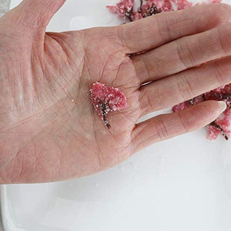 現品発送 さくらの花 塩漬け 軸取り 10ｋｇ 桜花漬（赤） 軸取り 10ｍｍ 10Kg (1kg×10） 桜 桜の花 【1493833444】(54528円)