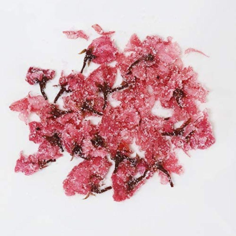 現品発送 さくらの花 塩漬け 軸取り 10ｋｇ 桜花漬（赤） 軸取り 10ｍｍ 10Kg (1kg×10） 桜 桜の花 【1493833444】(54528円)