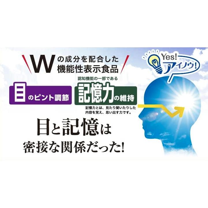 エバーライフ アイノウEX 30日分 15g 目のピント調節 記憶力維持 機能 