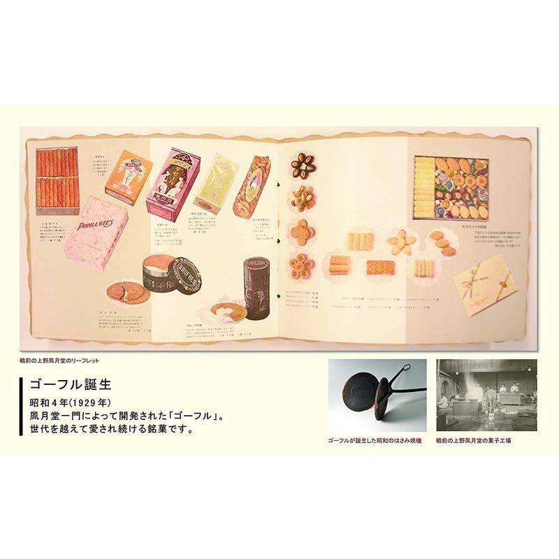 ラッピング 上野風月堂 プティゴーフル 2枚入り 12袋 Megjc Gov Jm