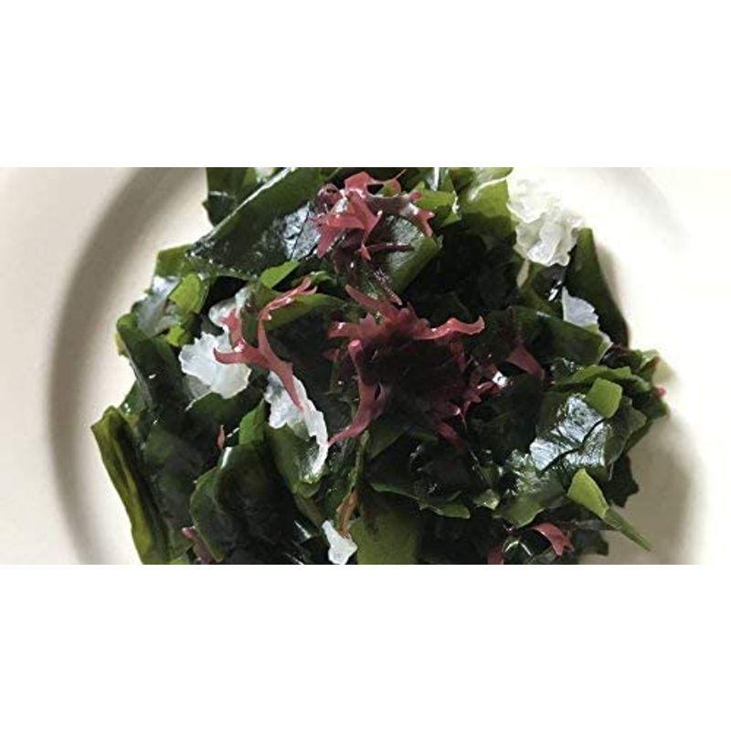 660円 海外正規品 タイトゴメ10potセット 苗 多肉植物 セダム 常緑 グランドカバー 送料