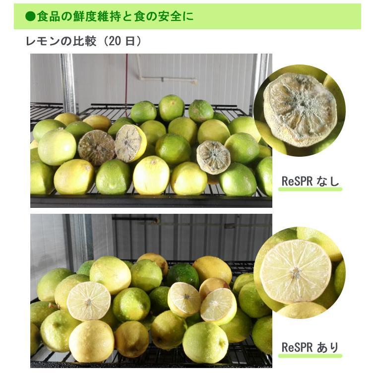【２点セット】 空気清浄機 レスパー ReSPR FLEX(ReSPR 3001) 空気浄化装置 ウィルス対策 業務用 低濃度オゾン 光触媒 【HO3298387855】(120400円)
