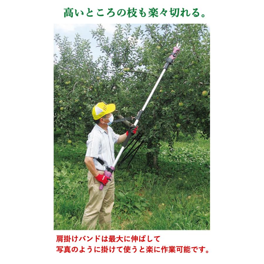 アルミス 電動剪定はさみ ASH-25M 枝切っ太郎専用延長ポール ASH-25MSE 